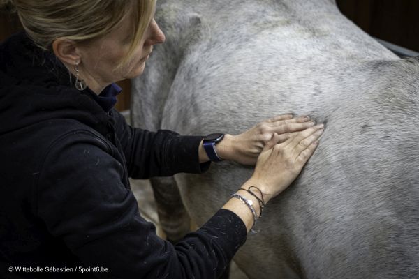 Florence Defresne massage sportif equin