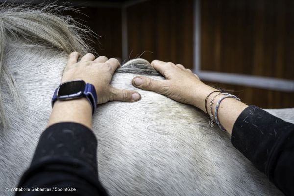 Florence Defresne massage sportif equin