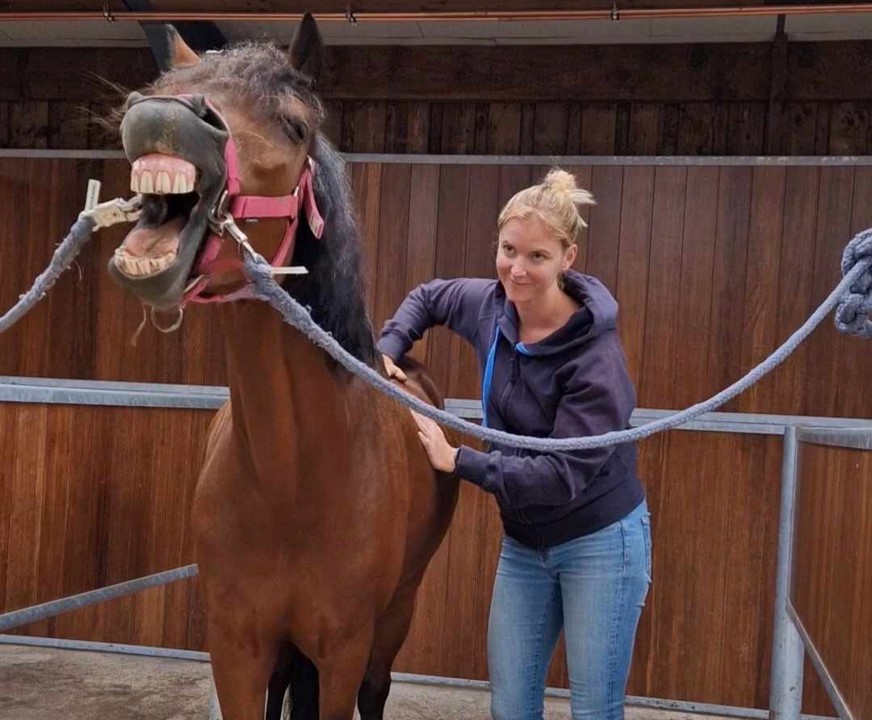 Florence Defresne massage sportif equin