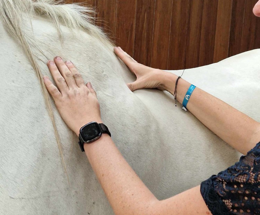 Florence Defresne massage sportif equin