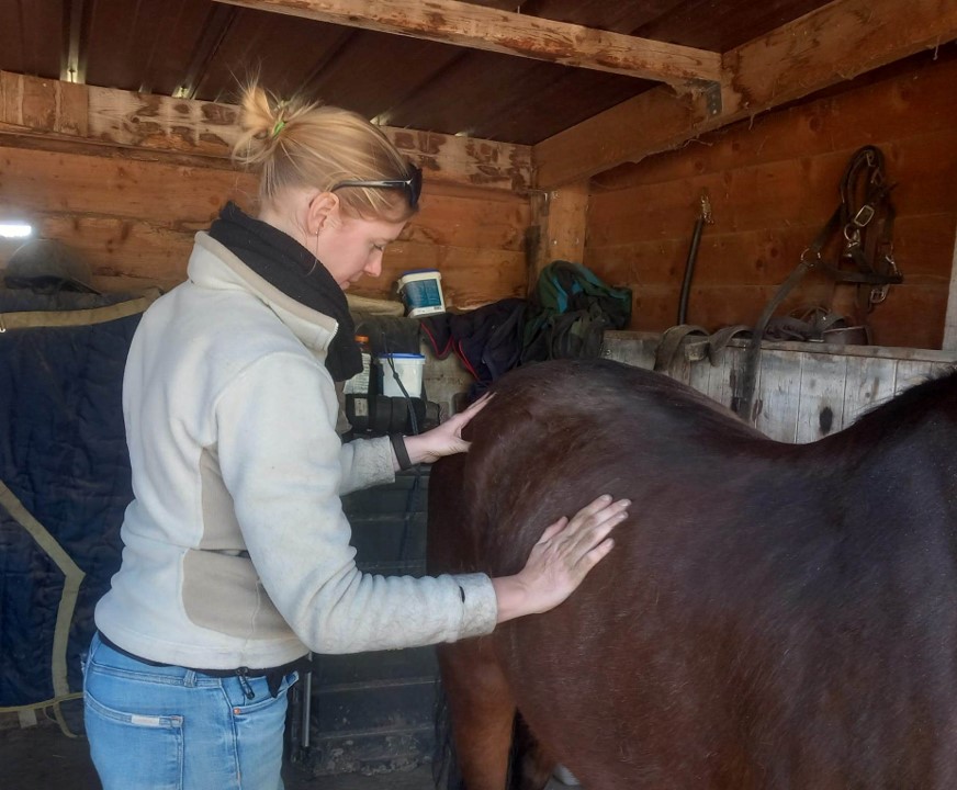 Florence Defresne massage sportif equin