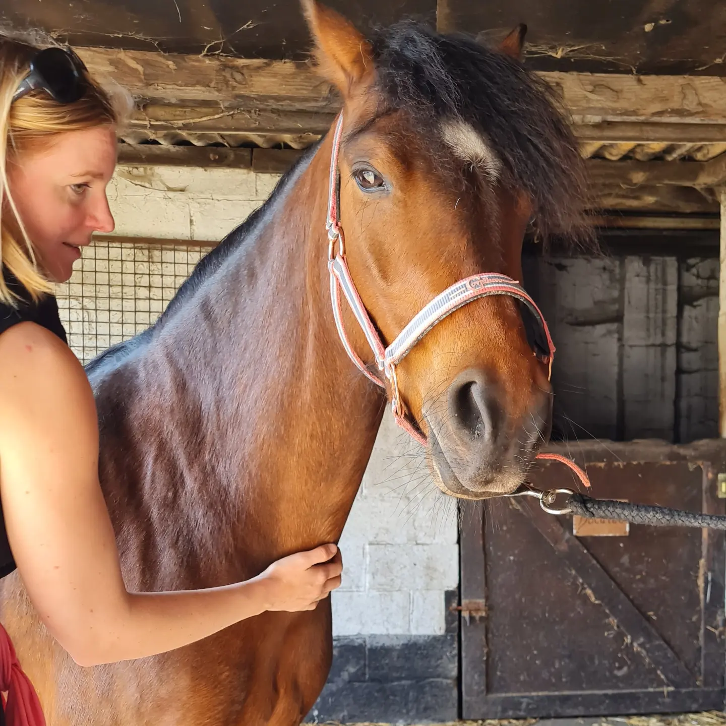 Florence Defresne massage sportif equin