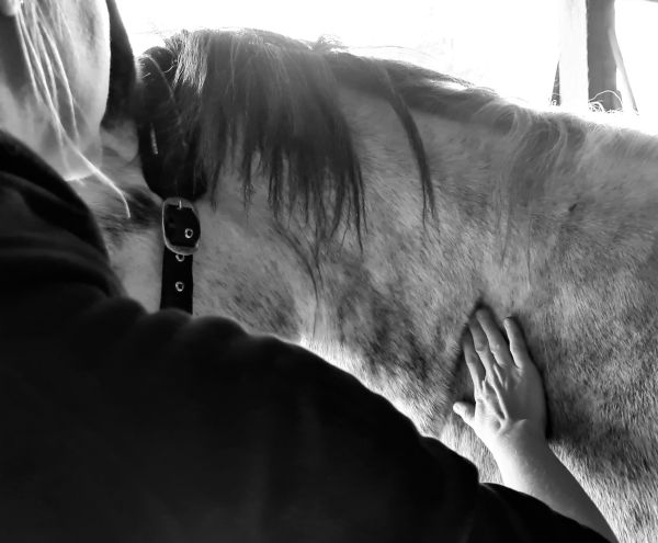 Florence Defresne massage sportif equin