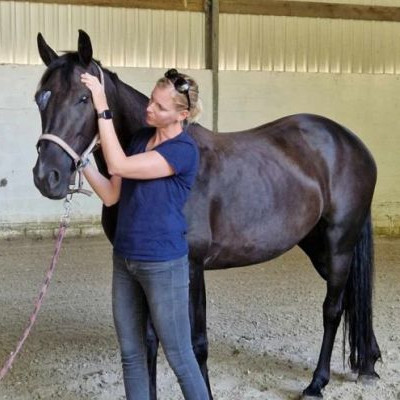 Florence Defresne massage sportif equin